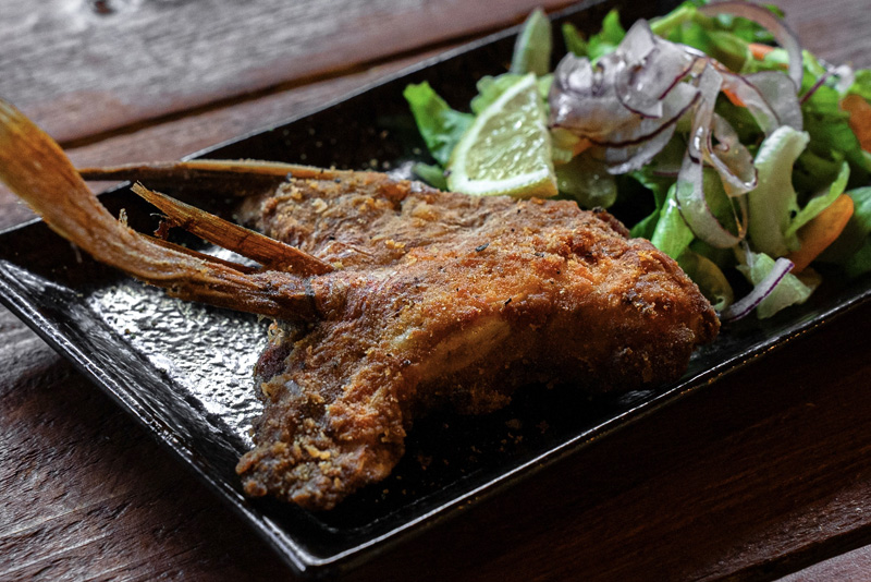 鯛一郎クンのツバサ